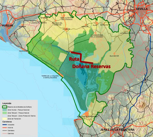 Main route of the route - Doñana Reservas