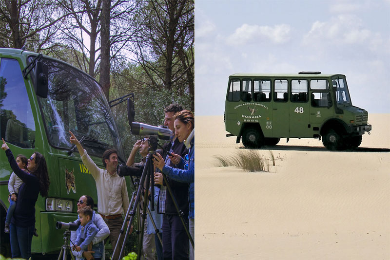 Reservar - Doñana Reservas