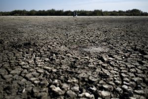Las lluvias devuelven el latir a Doñana - Doñana Reservas