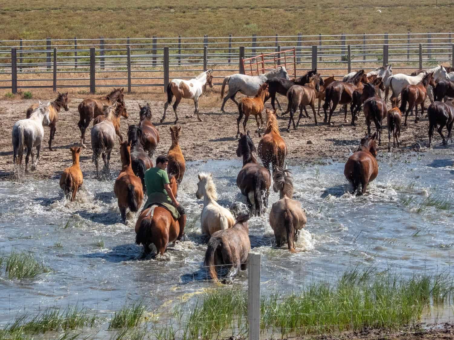 Historia, cultura y naturaleza: un viaje por el legado humano en Doñana - Doñana Reservas