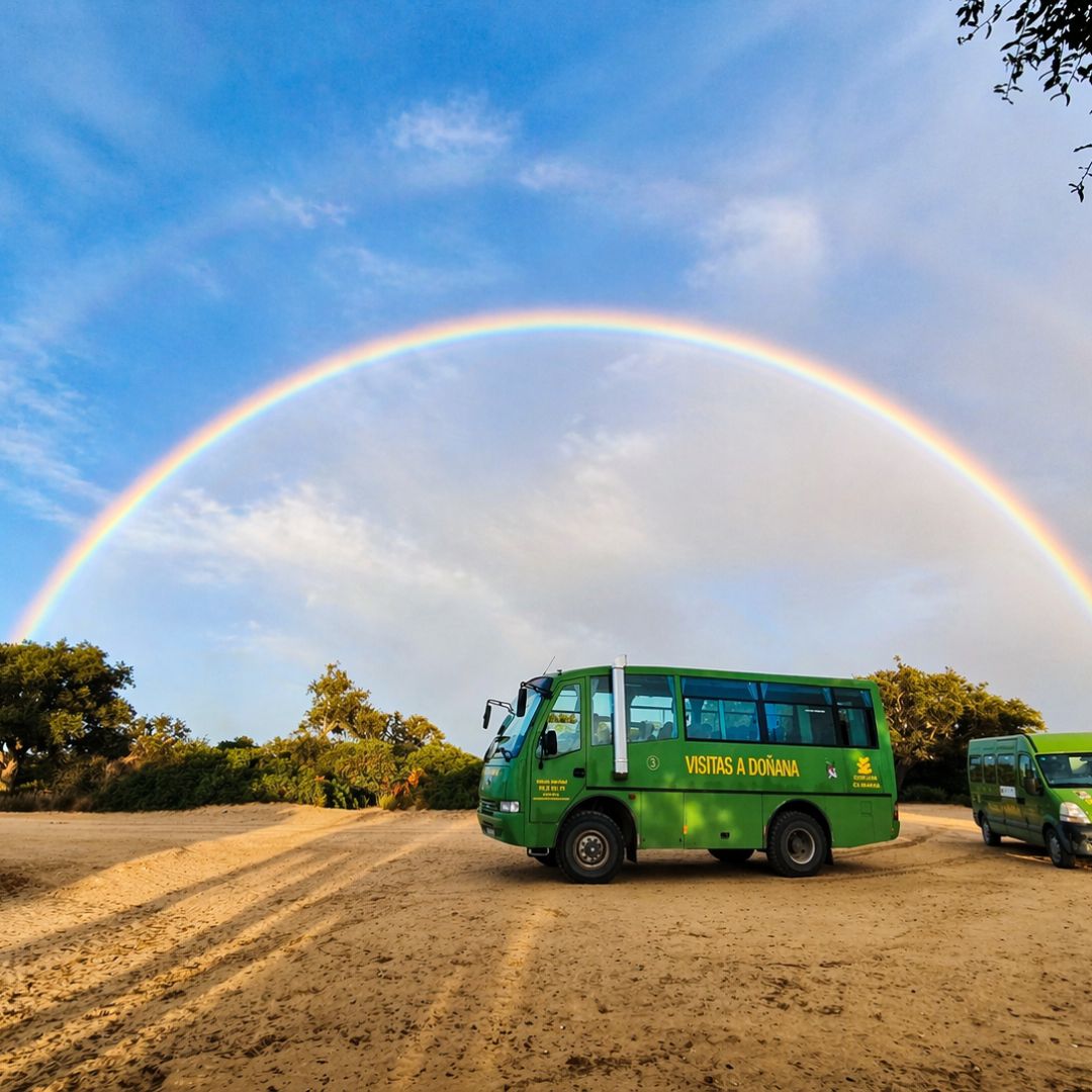 Doñana y su valor como pulmón ecológico: flora, ecosistemas y conservación - Doñana Reservas